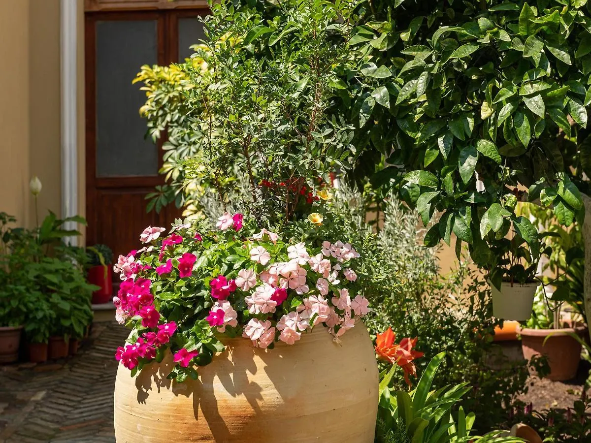 La Torretta Domus Hotel Quartu Sant'Elena Guest house